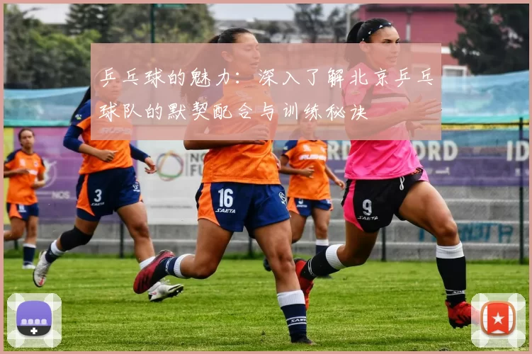 乒乓球的魅力：深入了解北京乒乓球队的默契配合与训练秘诀