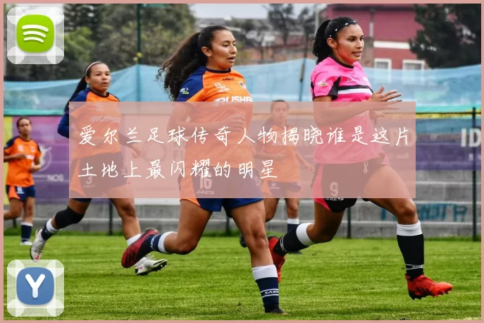 爱尔兰足球传奇人物揭晓谁是这片土地上最闪耀的明星