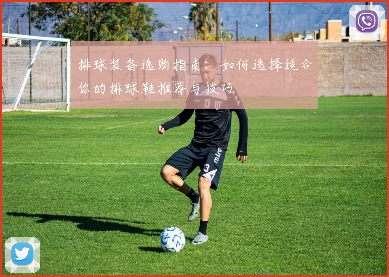 排球装备选购指南：如何选择适合你的排球鞋推荐与技巧