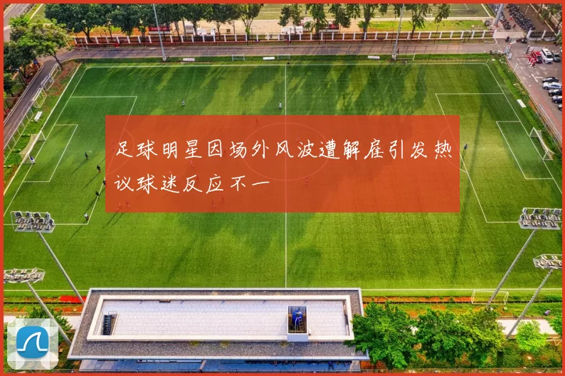 足球明星因场外风波遭解雇引发热议球迷反应不一