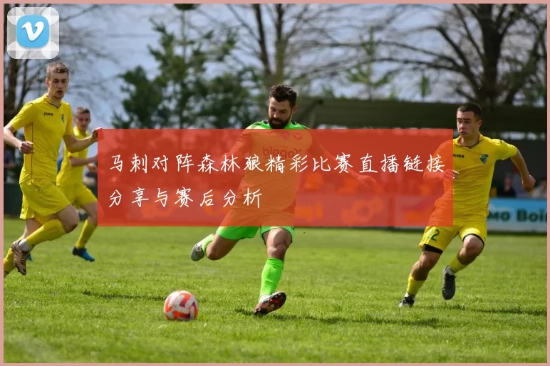马刺对阵森林狼精彩比赛直播链接分享与赛后分析